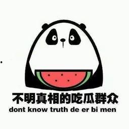 吃瓜网太卡,揭秘网络拥堵背后的真相