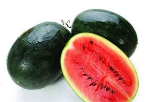 网红吃瓜名字大全霸气