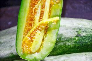 网红可以吃瓜了,揭秘娱乐圈幕后故事